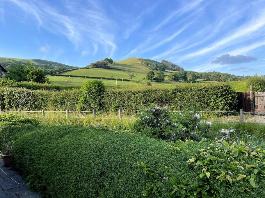 Y Felin Bed And Breakfast And Smallholding Caersws Exterior photo